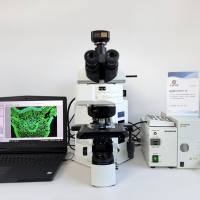 二手Olympus/奥林巴斯BX61正置电动荧光显微镜