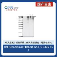 Ret Recombinant Rabbit mAb (S-4326-45)