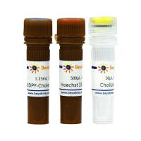胆固醇摄取荧光检测试剂盒(BDPY-Cholesterol)