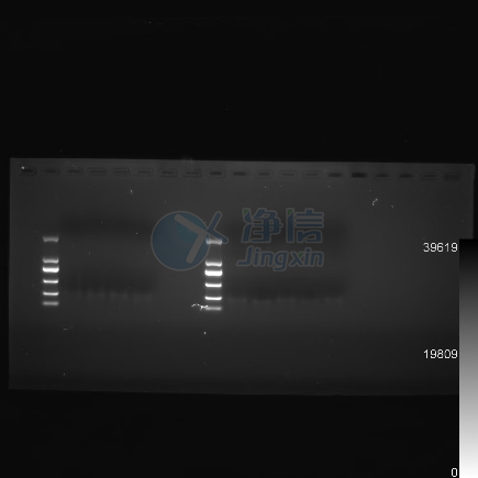 新闻图片2