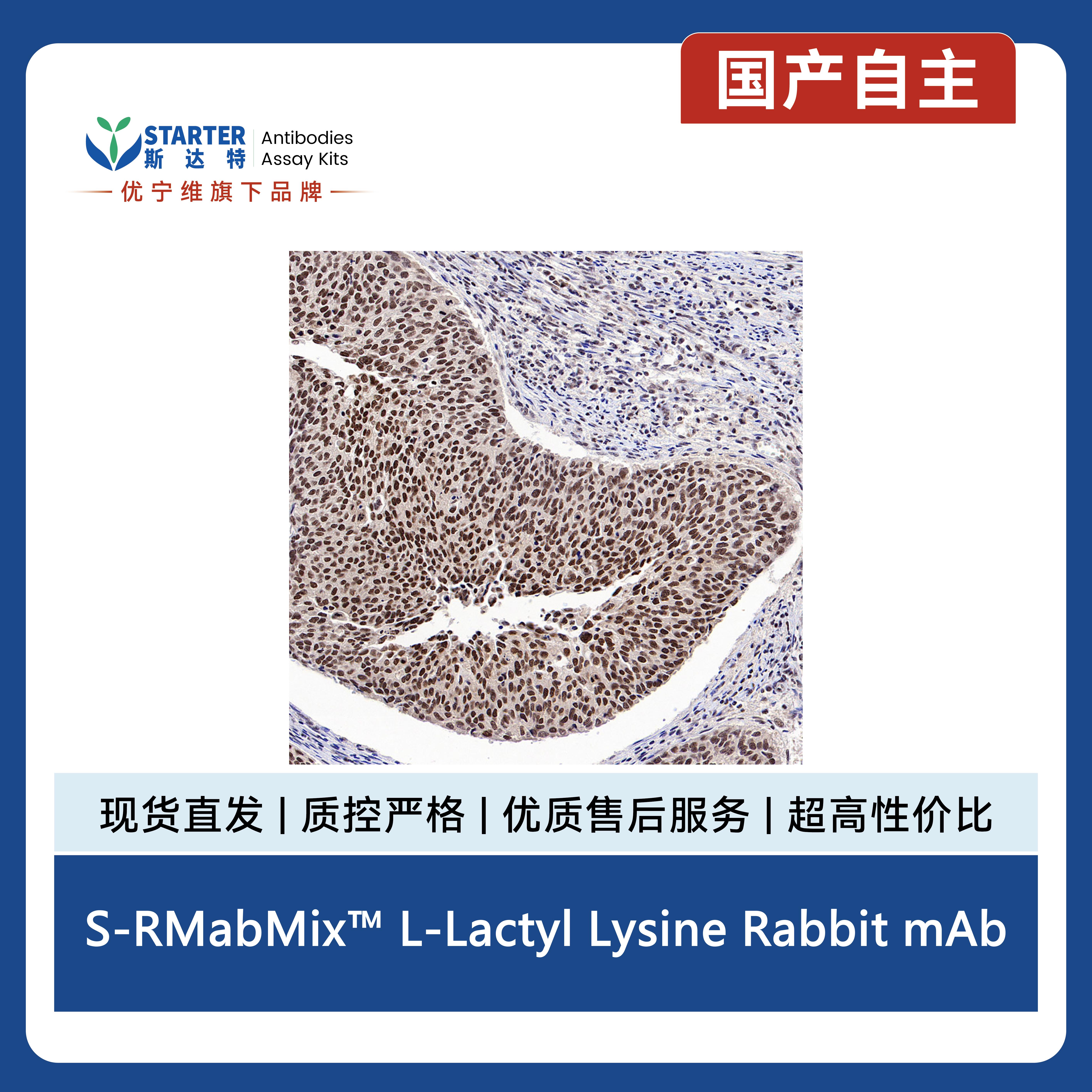 产品细节图片3