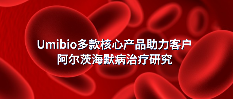 新闻图片1