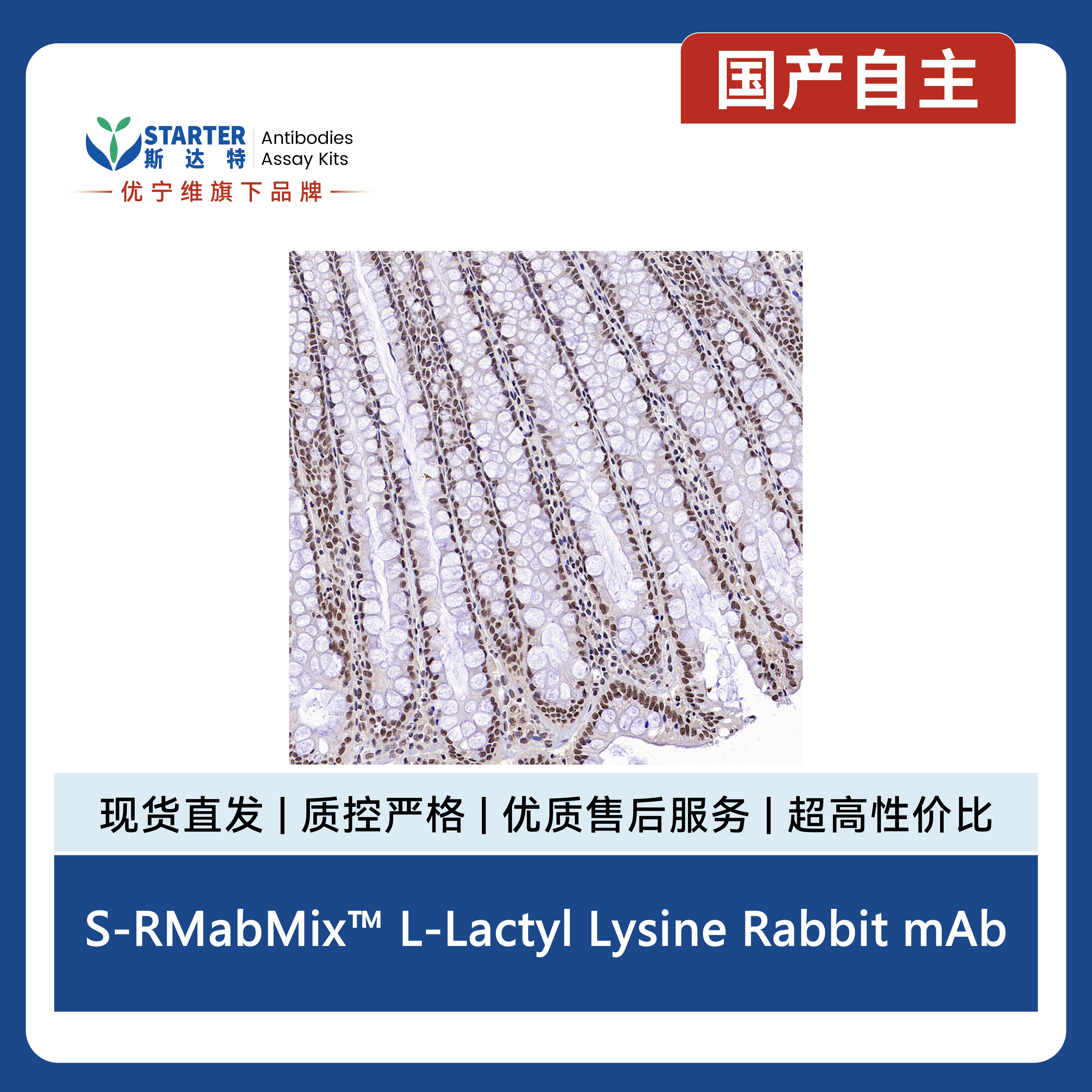 产品细节图片5