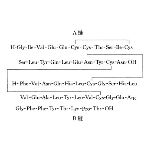 Insulin lispro (Standard)，133107-64-9，Moligand™，阿拉丁