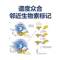 谱度众合邻近生物素标记(TurboID)全景解析：技术原理、服务内容与应用场景