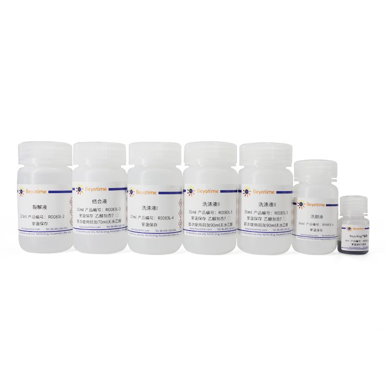 BeyoMag™磁珠法病毒RNA/DNA抽提试剂盒