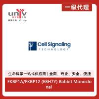 FKBP1A/FKBP12 (E8H7Y) Rabbit Monoclonal Antibody (Biotinylated)