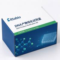DNA产物纯化试剂盒  50T 