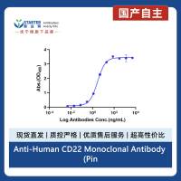 Anti-Human CD22 Monoclonal Antibody (Pinatuzumab)