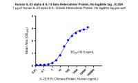 Human IL-23 alpha & IL-12 beta Heterodimer Protein, No tag&His tag