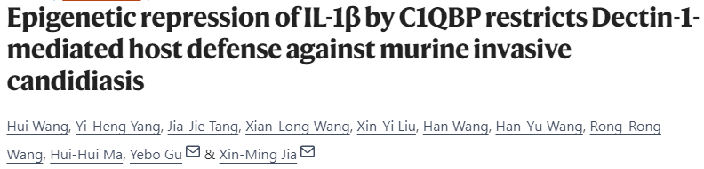 新闻图片9