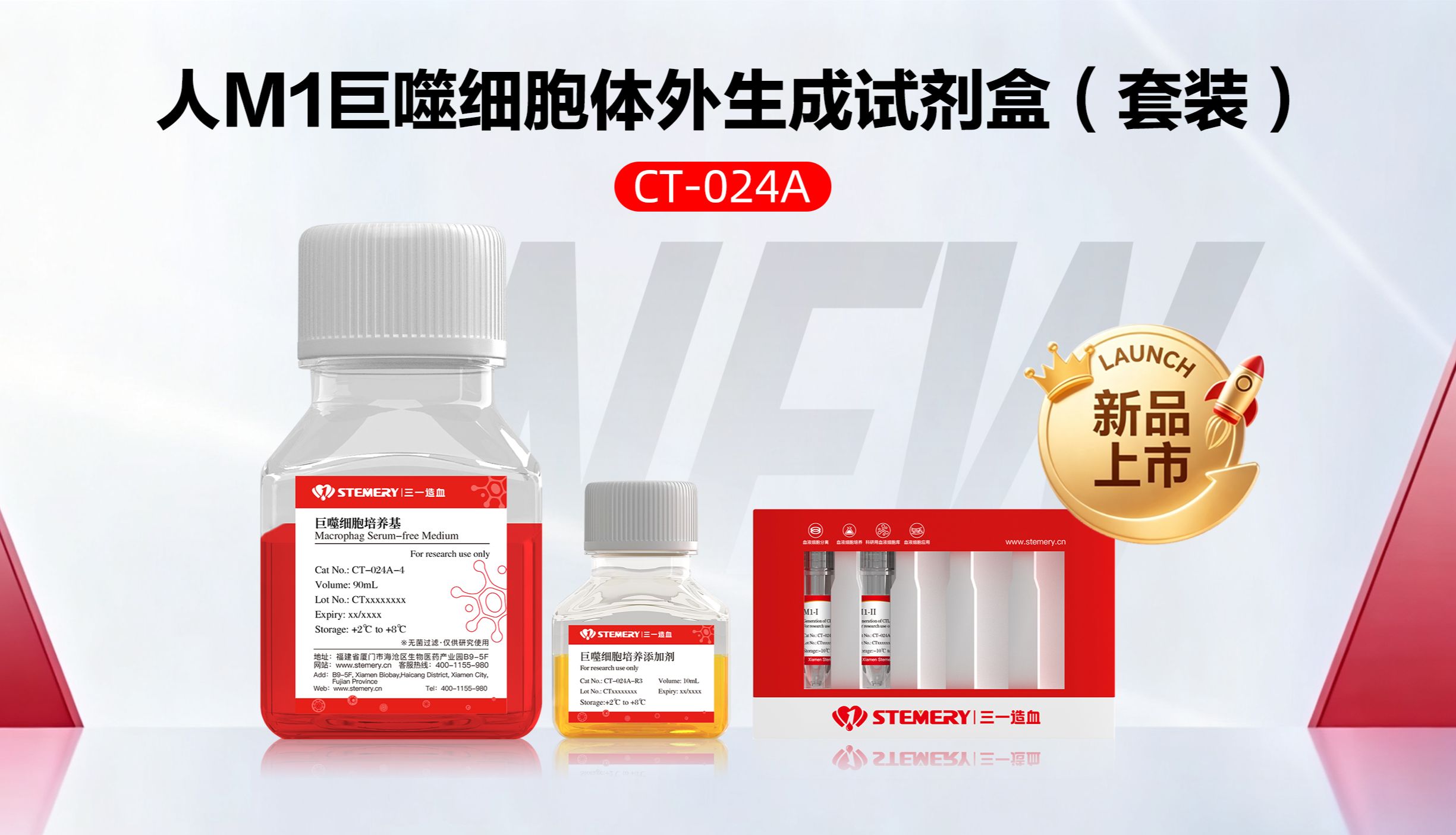 从配角到主角：肿瘤免疫治疗的新靶点，凭什么落到巨噬细胞头上？