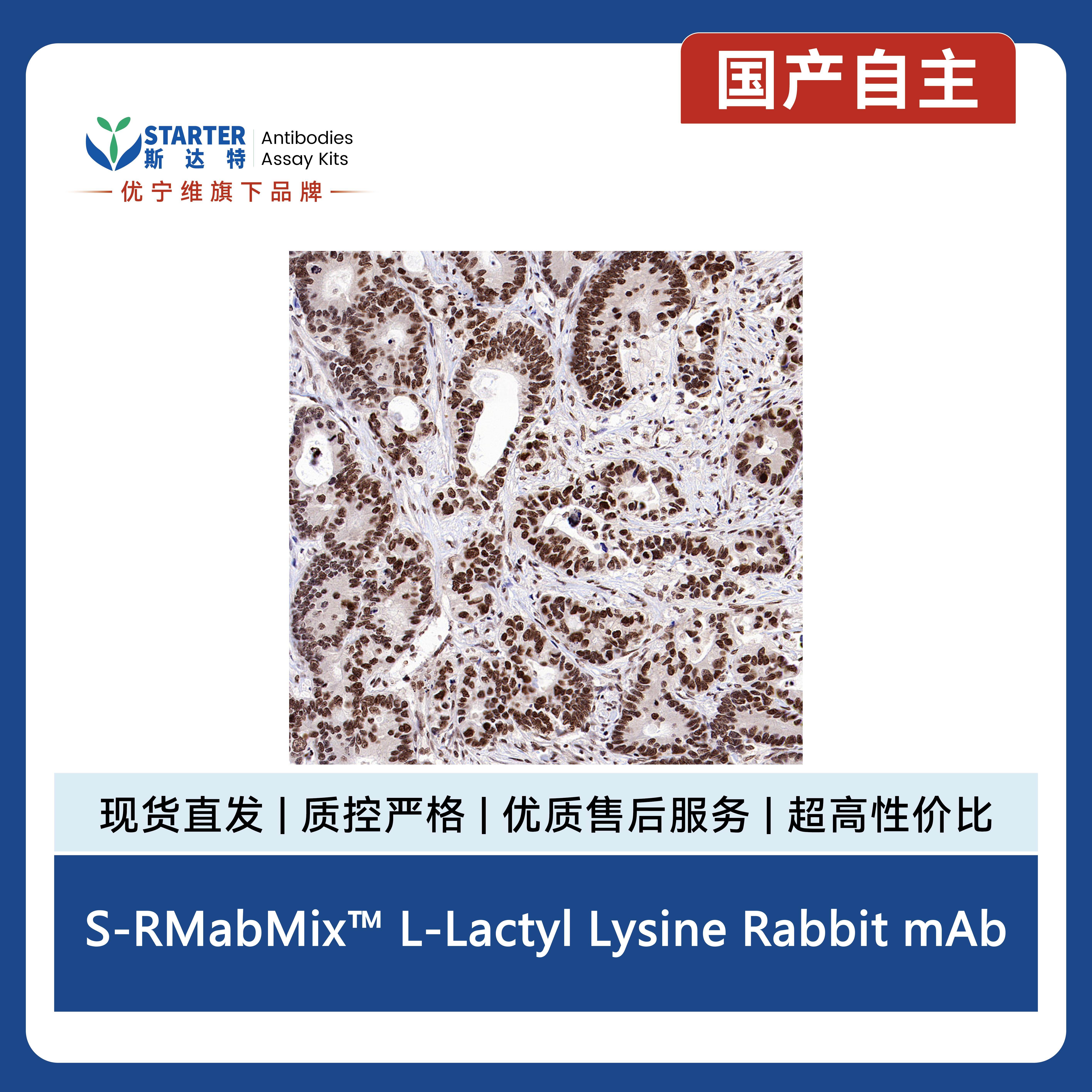产品细节图片4