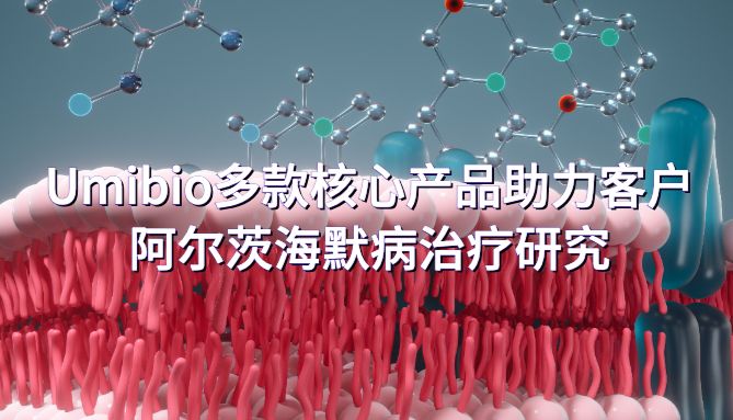 IF=23.6 | Umibio多款核心产品助力客户阿尔茨海默病治疗研究！