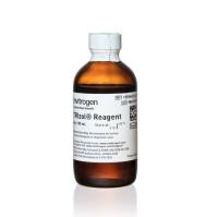 原装TRIzol Reagent 15596-026CN