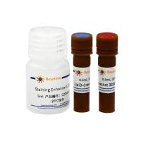 脂滴绿色荧光检测试剂盒(LipiD-Green)