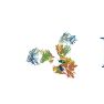 英国Ludger生物科技有限公司产品目录-酶、N糖分析、唾液酸分析、单糖分析、纯化柱、 分析柱 及缓冲液