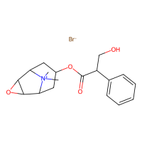 甲溴东莨菪碱,155-41-9,10mM in DMSO,阿拉丁