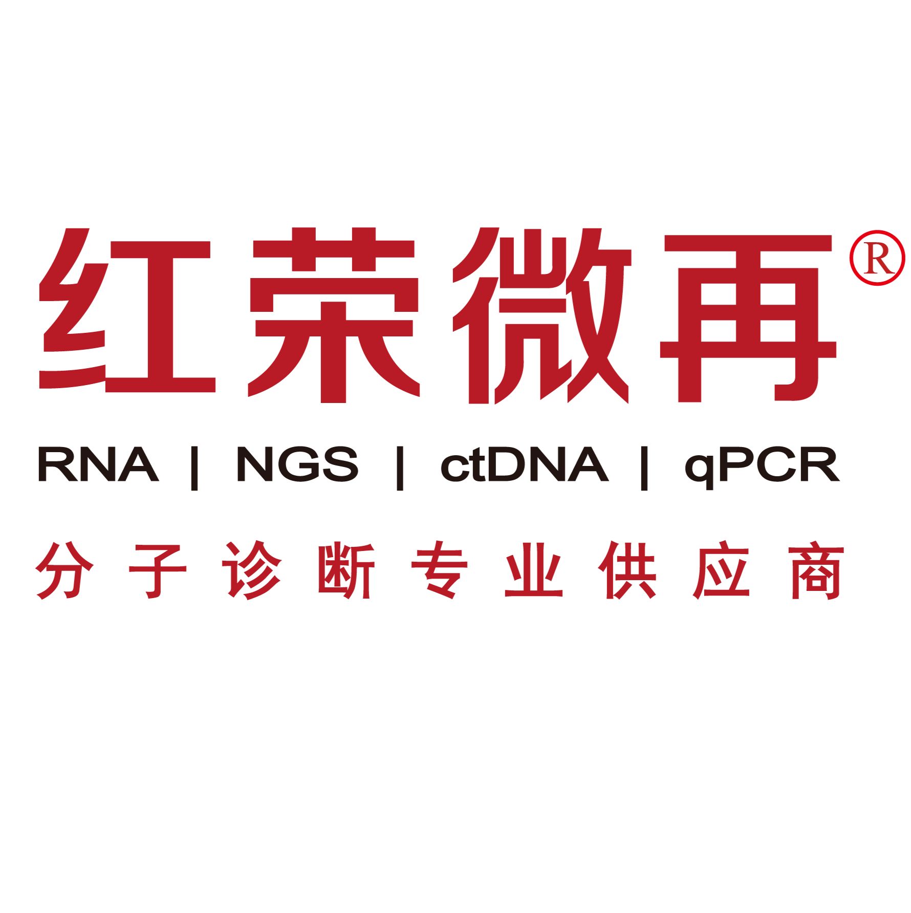 Inspire Spark transfecter RNA 转染试剂
