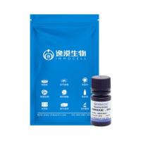 Hoechst33342（活细胞染色液），即用型