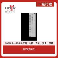 ARG(ABL2)