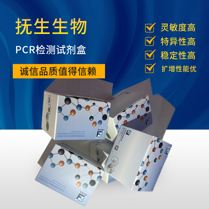 怎么判断热启动酶PCR试剂盒有没有充分活化？