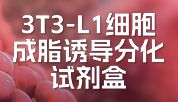 高效诱导 3T3-L1 细胞成脂分化