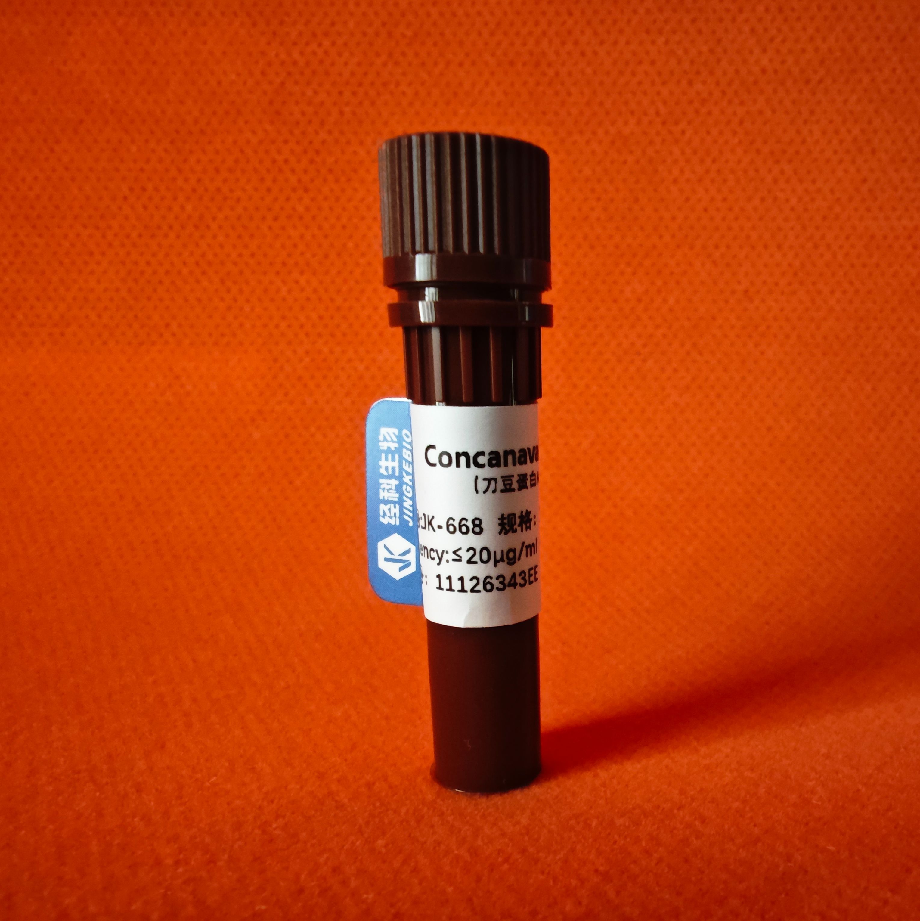 BSA蛋白标准品(5mg/ml)产品图