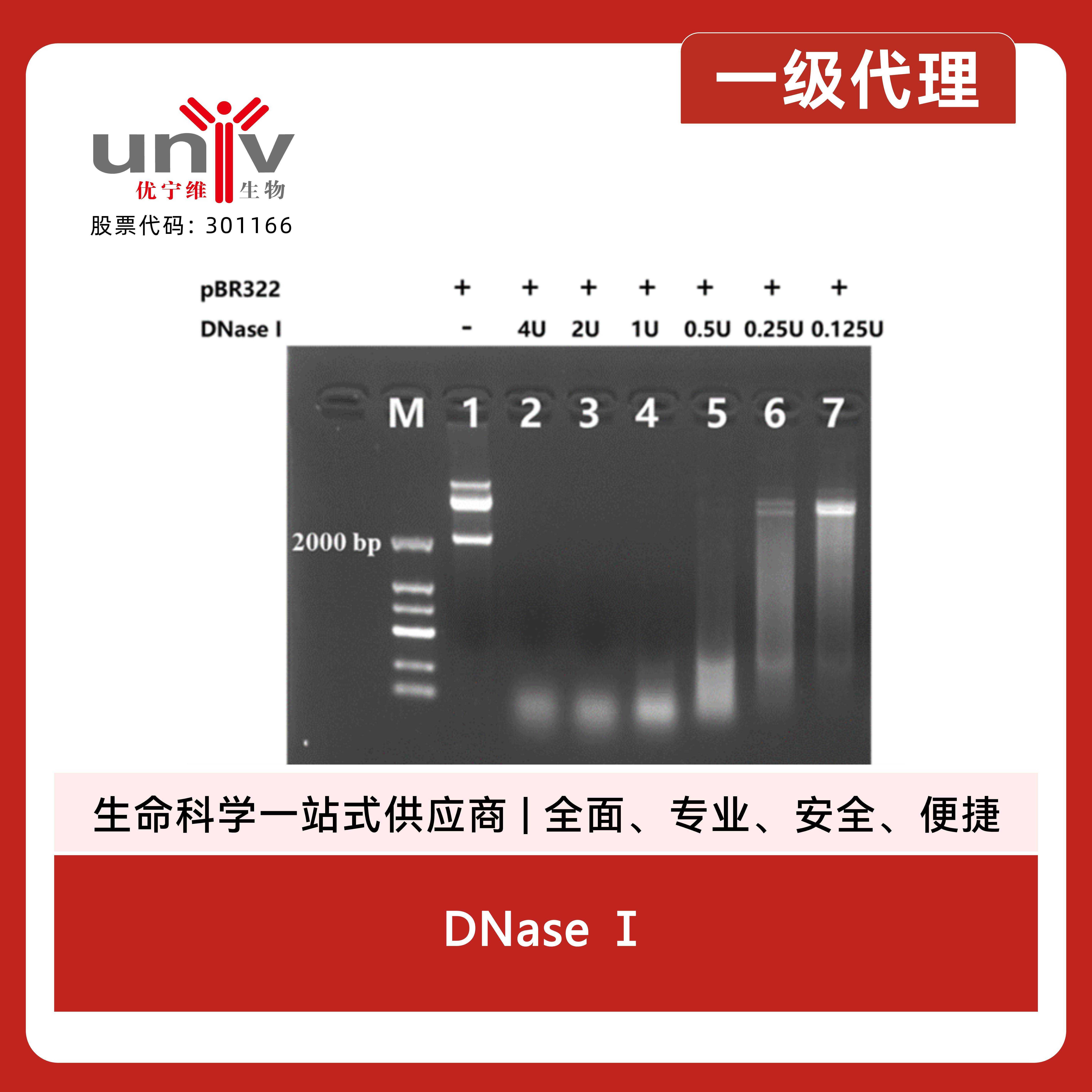 产品细节图片3