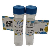 刀豆蛋白 A (Con A) 溶液 (500×),无菌过滤,BioReagent,500×,阿拉丁