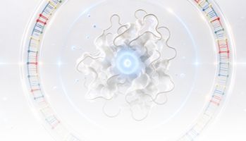 队列专题｜Nature Medicine 这篇，把「大队列蛋白组学×疾病风险预测」的建与验讲透了