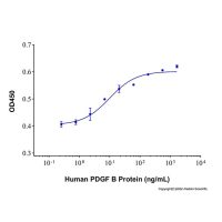 Recombinant Human PDGF-BB Protein，无载体,生物活性,ActiBioPure™,高性能,His标签,≥95%(SDS-PAGE),见COA，阿拉丁