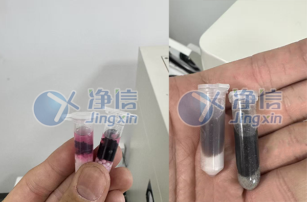 新闻图片2