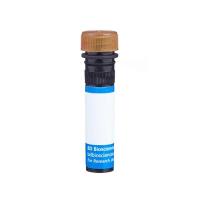 Hu CD83 PE-Cy5 HB15e 100Tst