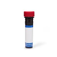 Hu CD137 Ligand PE C65-485