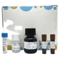 铁 (Fe) 含量检测试剂盒(亚铁嗪, 微量法),BioReagent,阿拉丁