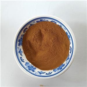 5-氨基-1-甲基-氯化物