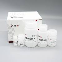 PC206 组蛋白提取试剂盒