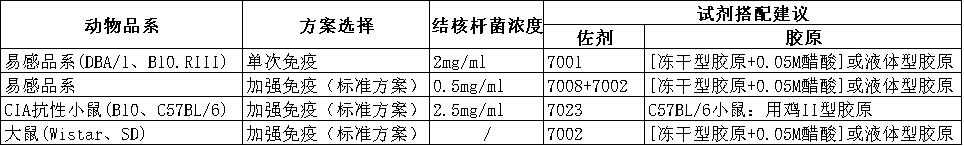 新闻图片3
