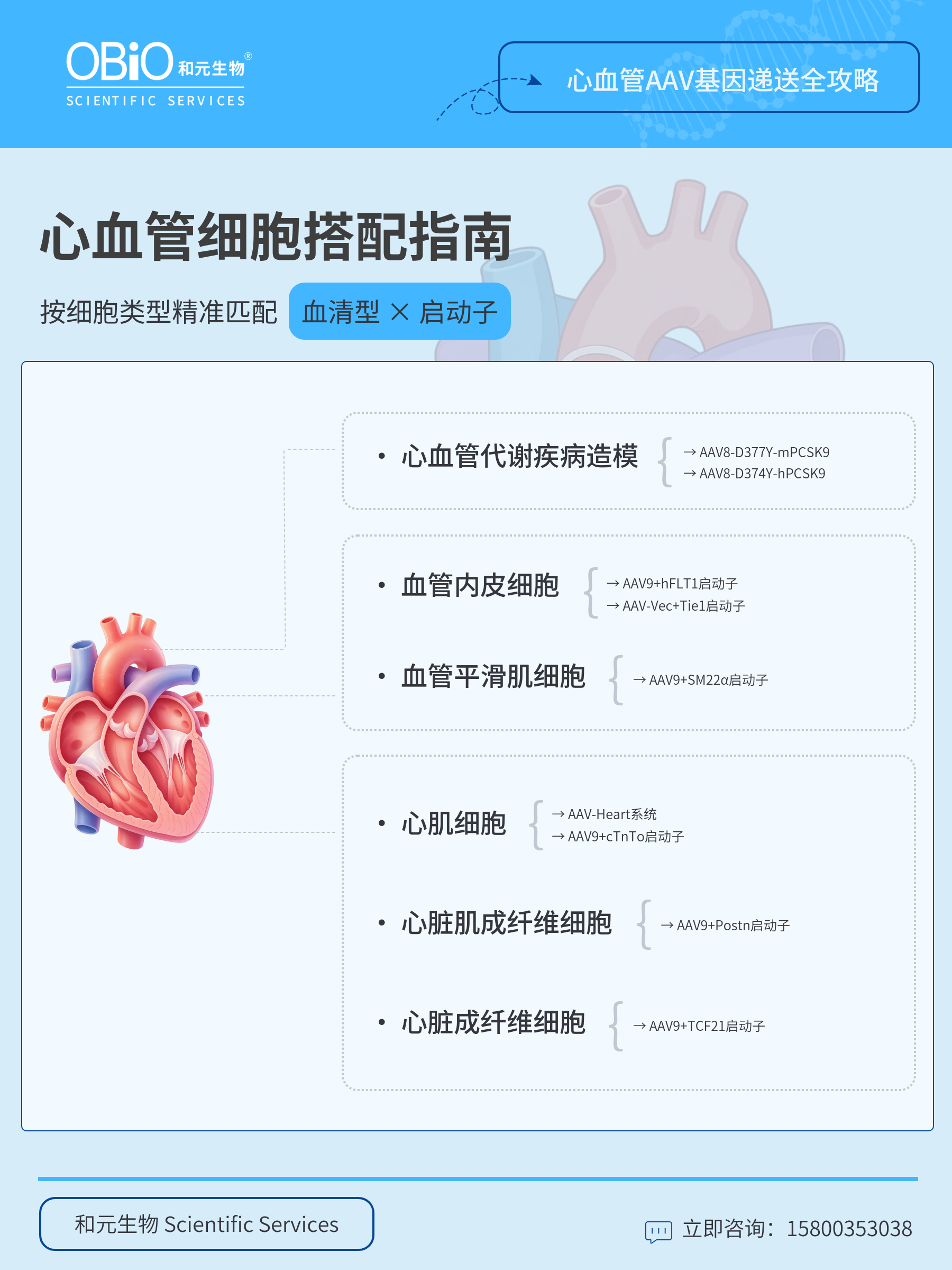 新闻图片2