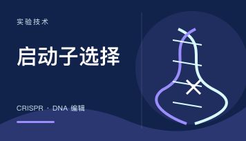 报告基因稳定细胞株怎么构建？