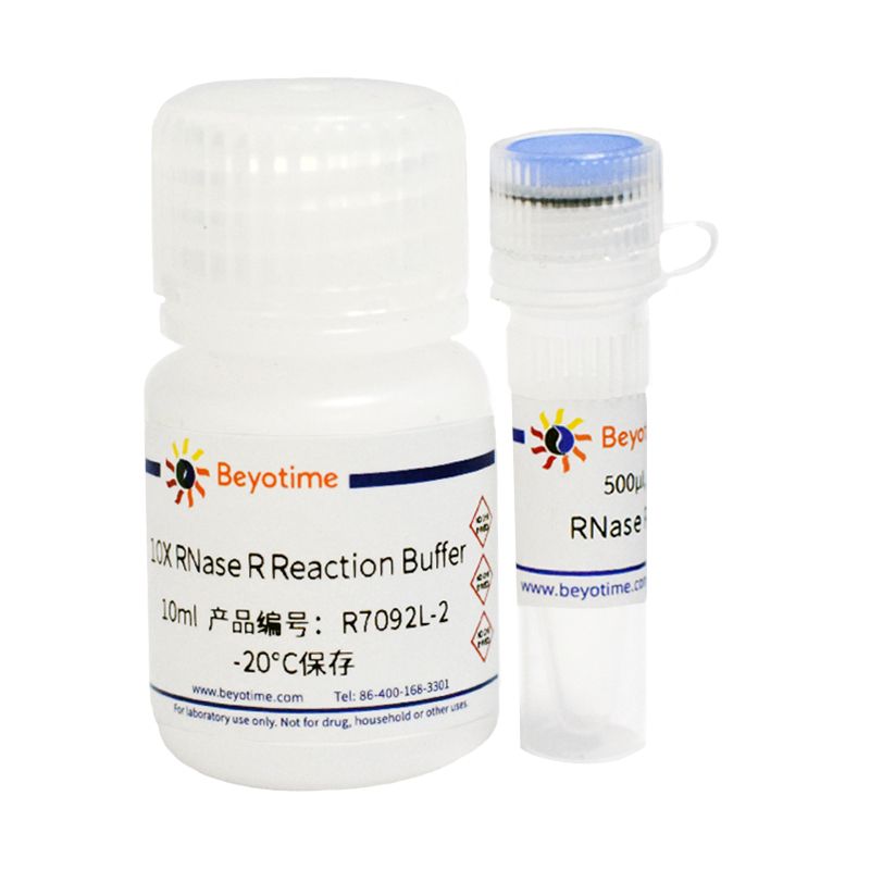 RNase R