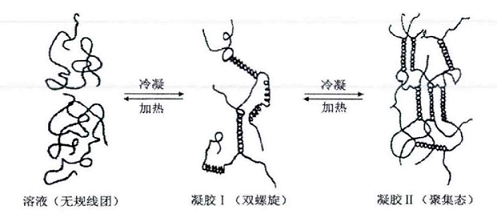 新闻图片4