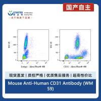 Mouse Anti-Human CD31 Antibody (WM59)