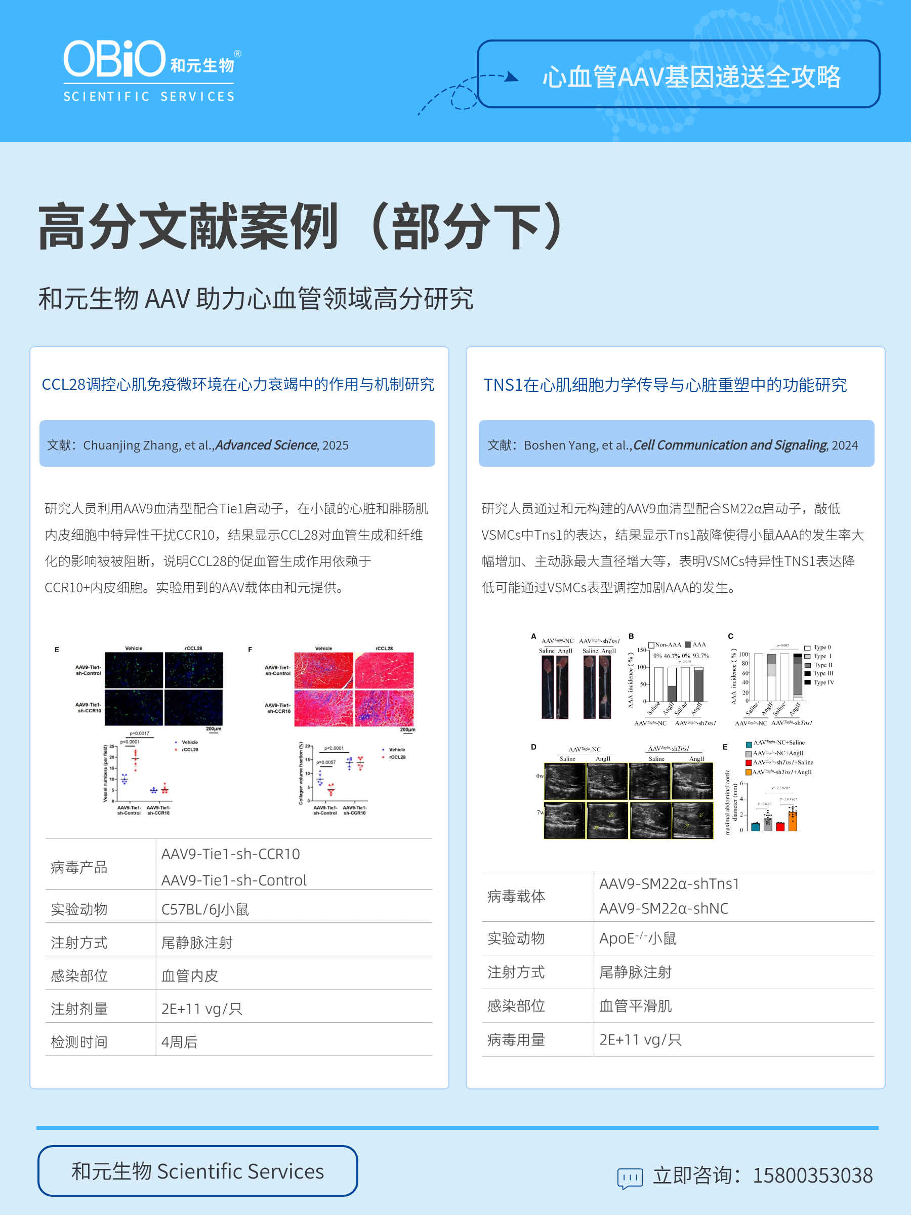 新闻图片7