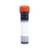 Ms CD8a BUV805 53-6.7 50ug