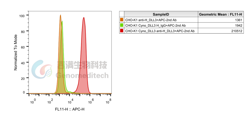 Dll3 DLL3:从肿瘤标志物到热门治疗靶点 - 企业动态 - 丁香通