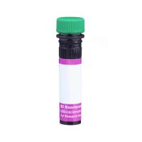 Hu CD49d BB515 9F10 100Tst