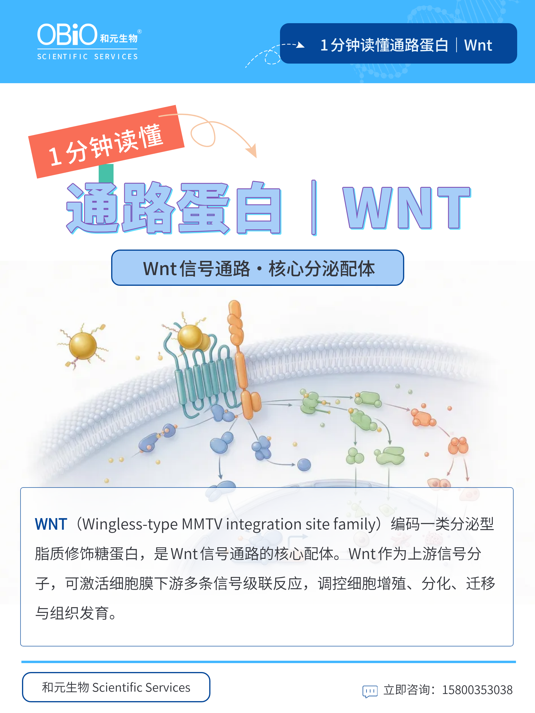 新闻图片1