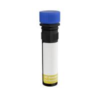 Ms CD4 RY775 RM4-5